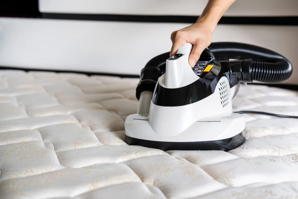 Upholstery Items We Clean | Albury Wodonga Cleaning Service