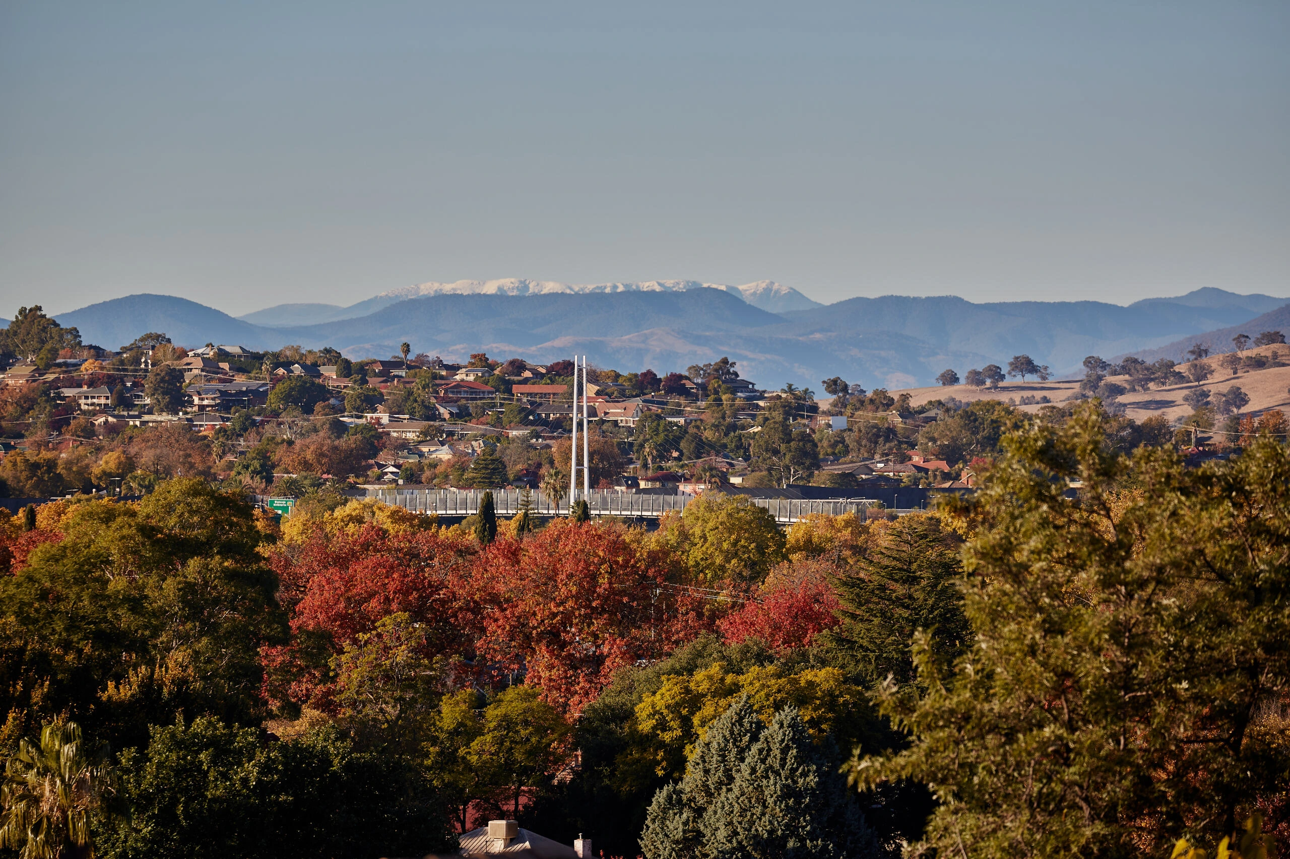Cleaning services in Springdale Heights by Albury Wodonga Cleaning Service