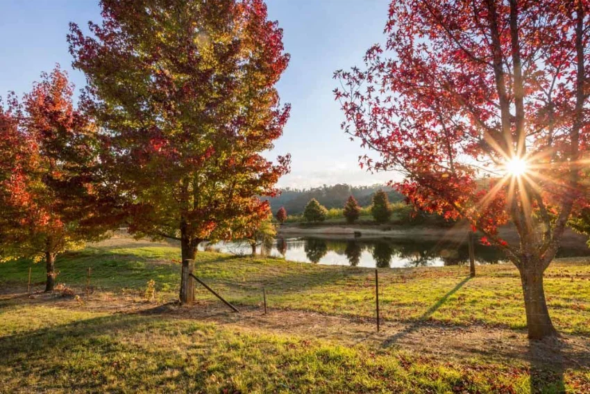 Cleaning services in Beechworth by Albury Wodonga Cleaning Service