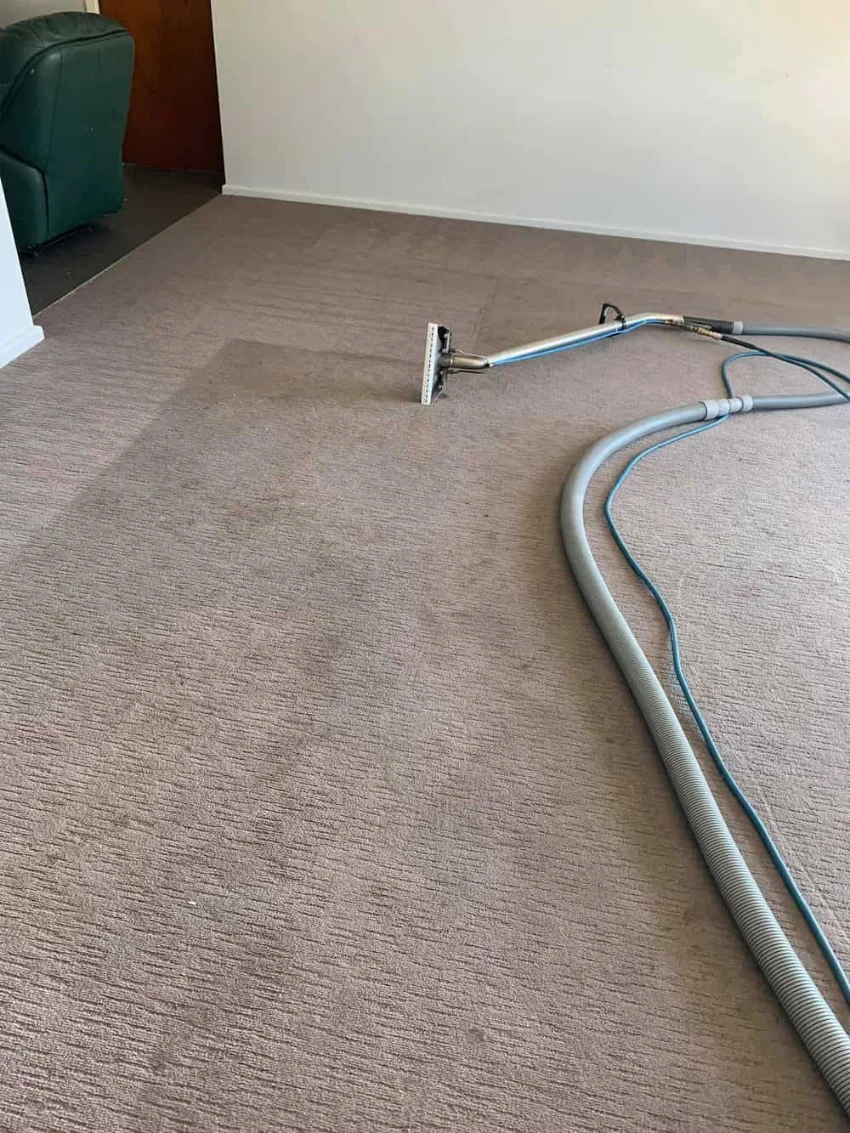 Cleaning services across Albury Wodonga