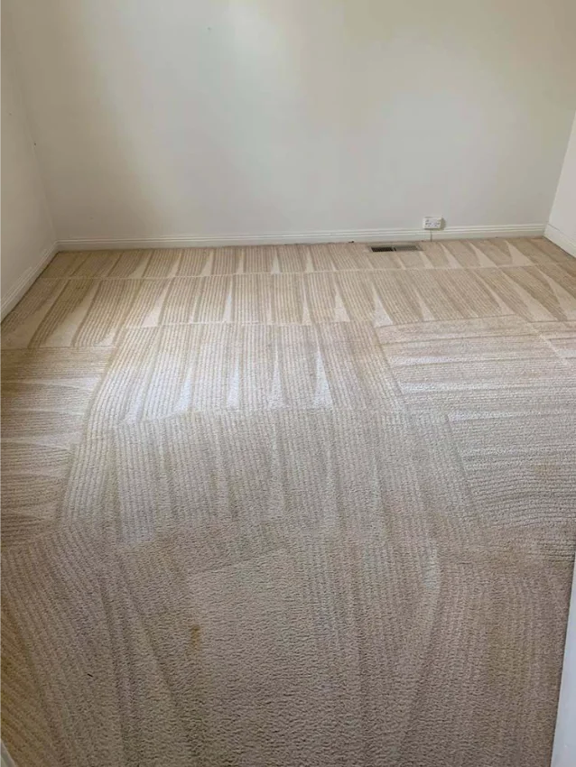 Carpet steam cleaning in Albury Wodonga