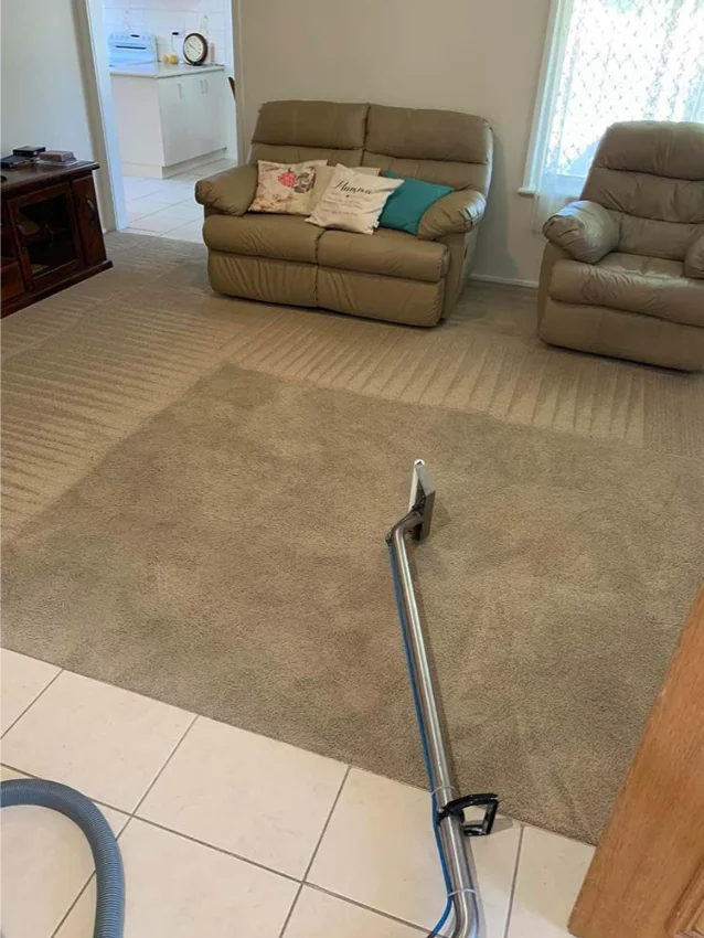 Carpet steam cleaning in Wodonga