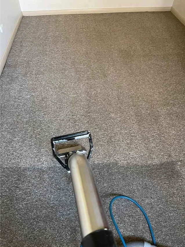 Carpet steam cleaning in Wangaratta