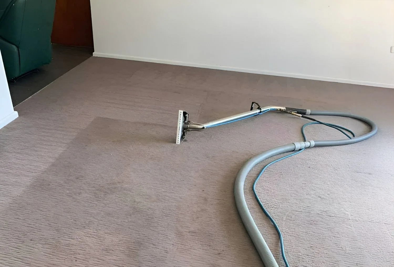 How Often Should Wodonga Families Get Their Carpets Cleaned?