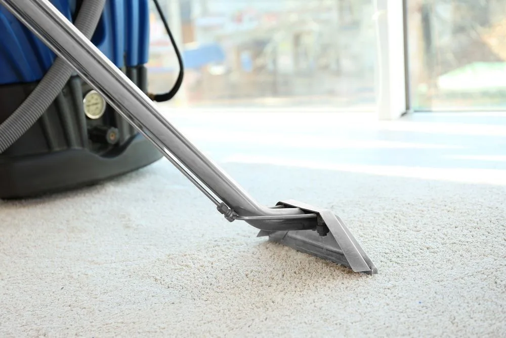 How To Choose The Right Carpet Cleaner In Albury Wodonga